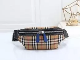 burberry aaa qualite sacs ceinture s_aaba64